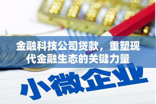 宣化金融科技公司贷款，重塑现代金融生态的关键力量