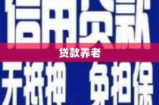 宣化贷款养老