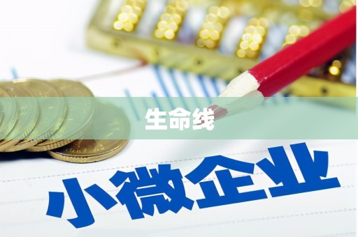 宣化生命线