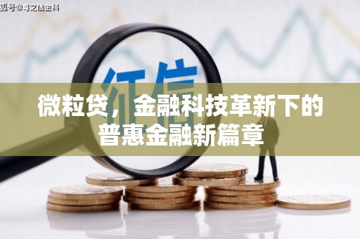 宣化微粒贷，金融科技革新下的普惠金融新篇章