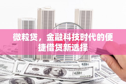 宣化微粒贷，金融科技时代的便捷借贷新选择
