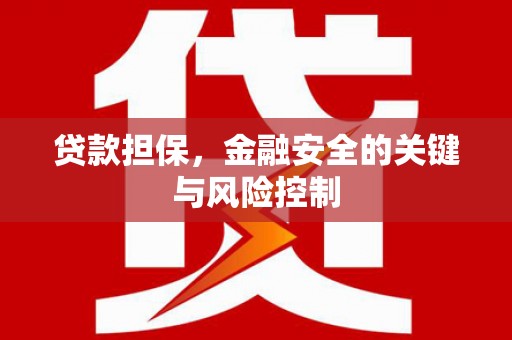 宣化贷款担保，金融安全的关键与风险控制