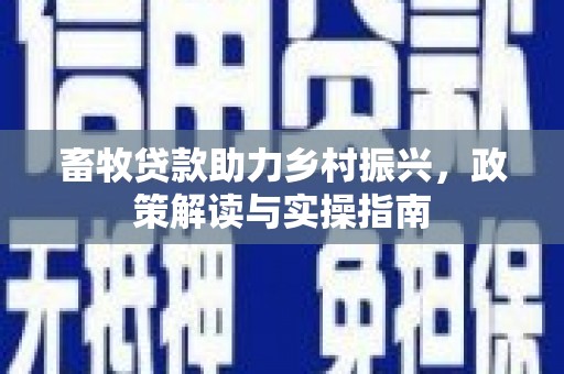 宣化畜牧贷款助力乡村振兴，政策解读与实操指南